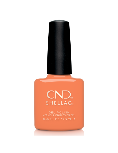 SHELLAC-352 CATCH OF THE DAY 7,3 ML