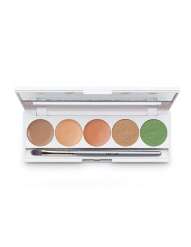 KRYOLAN PODKŁADY QUINTET PALETA 5 KOL. NR.Q4 75015
