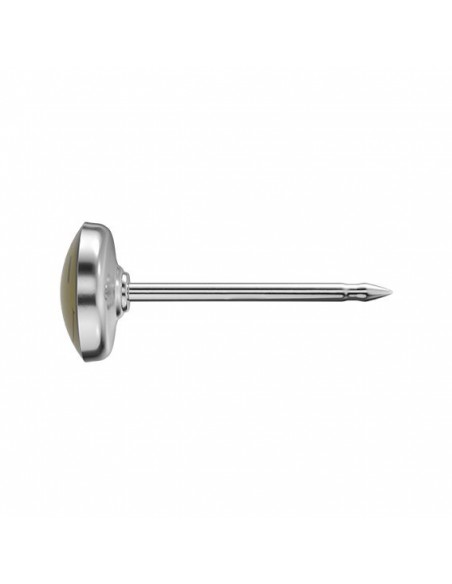 STUDEX 7512-0604 OBRAZEK BUŹKA
