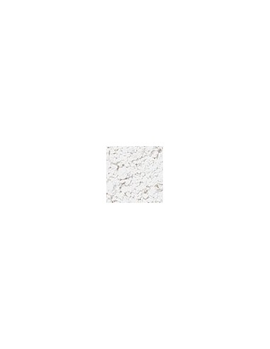 KRYOLAN PUDER TRANSPARENTNY 20G. TL1 5703