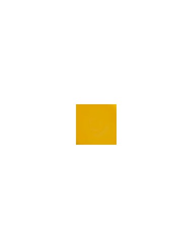 KRYOLAN WKŁADY PODKŁADY KAMUFLAŻ D GOLD 75005
