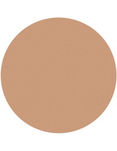 KRYOLAN PODKŁAD PAINT STICK TV 25G. OB1 5047 2