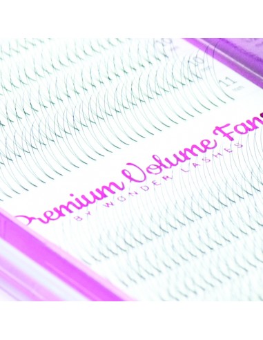 Wonder Lashes Rzęsy Premium Volume 2D D-0,07 11 mm